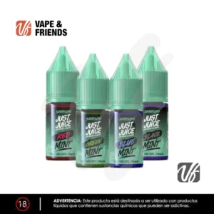 Just Juice Mint – Nic Salt